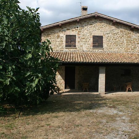 Agriturismo Colle Del Sole San Martino in Colle  Екстер'єр фото